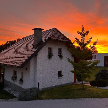 Holiday Home Dobrotin Vojnik Kültér fotó