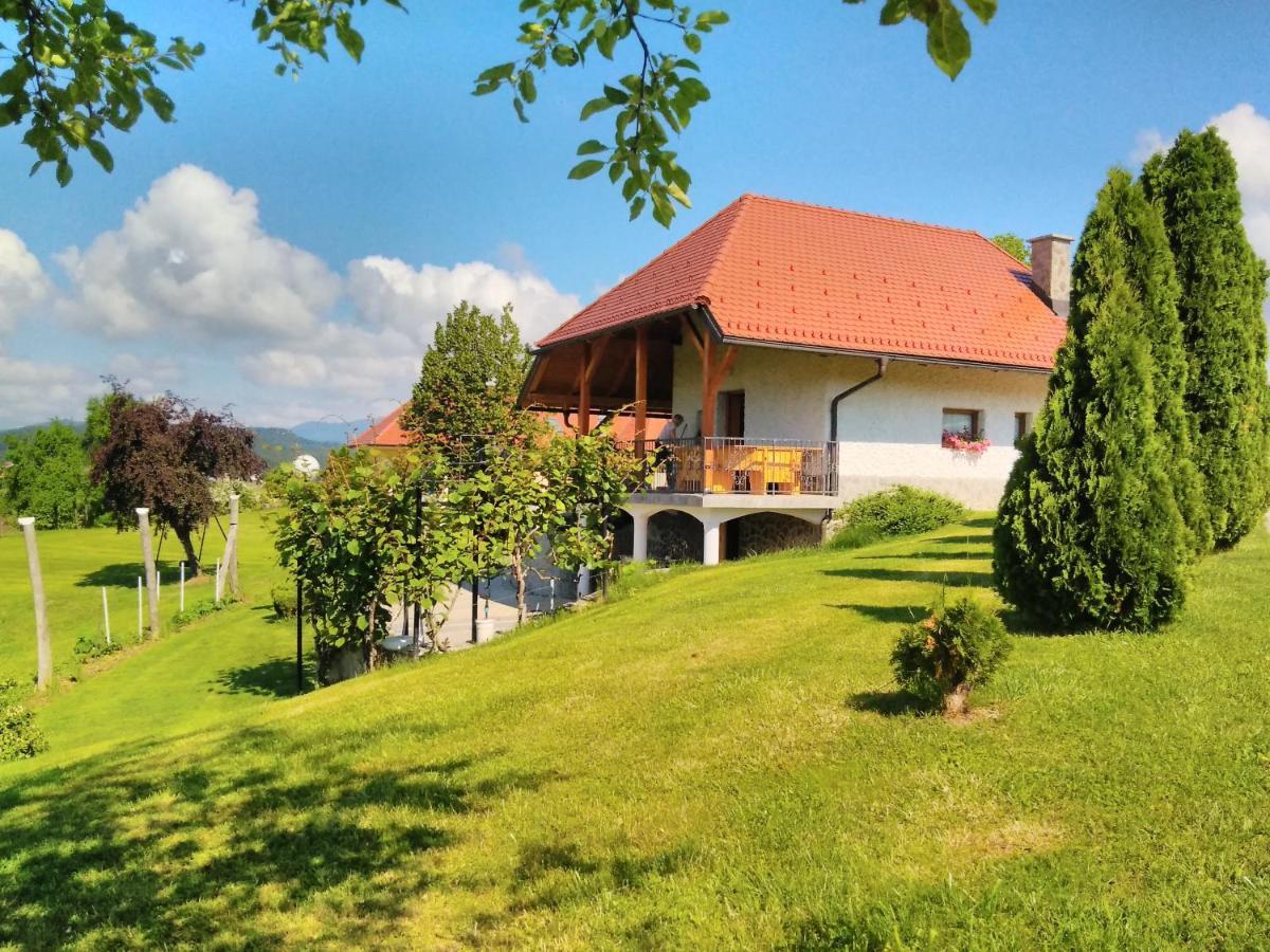 Holiday Home Dobrotin Vojnik Kültér fotó