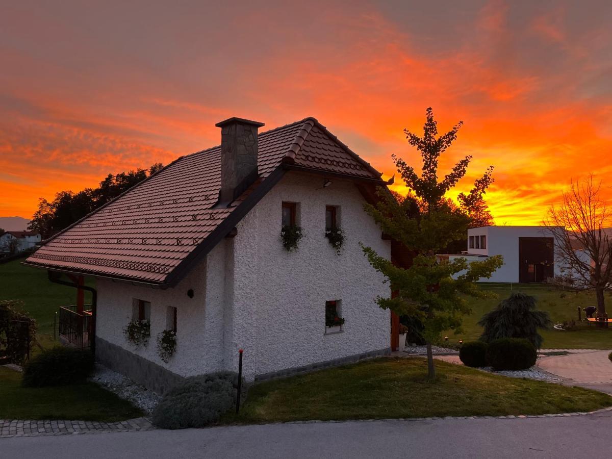 Holiday Home Dobrotin Vojnik Kültér fotó