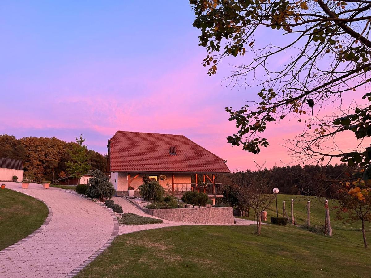 Holiday Home Dobrotin Vojnik Kültér fotó