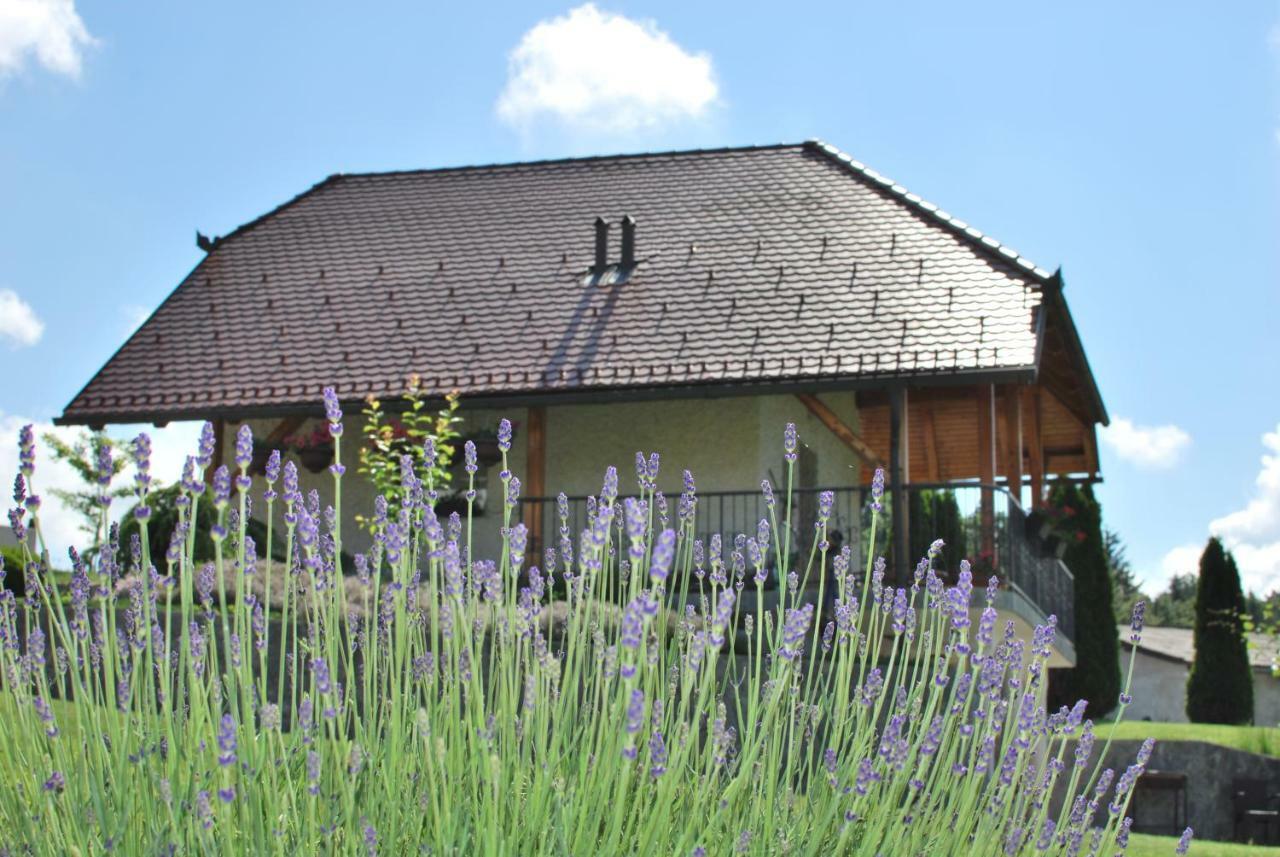 Holiday Home Dobrotin Vojnik Kültér fotó