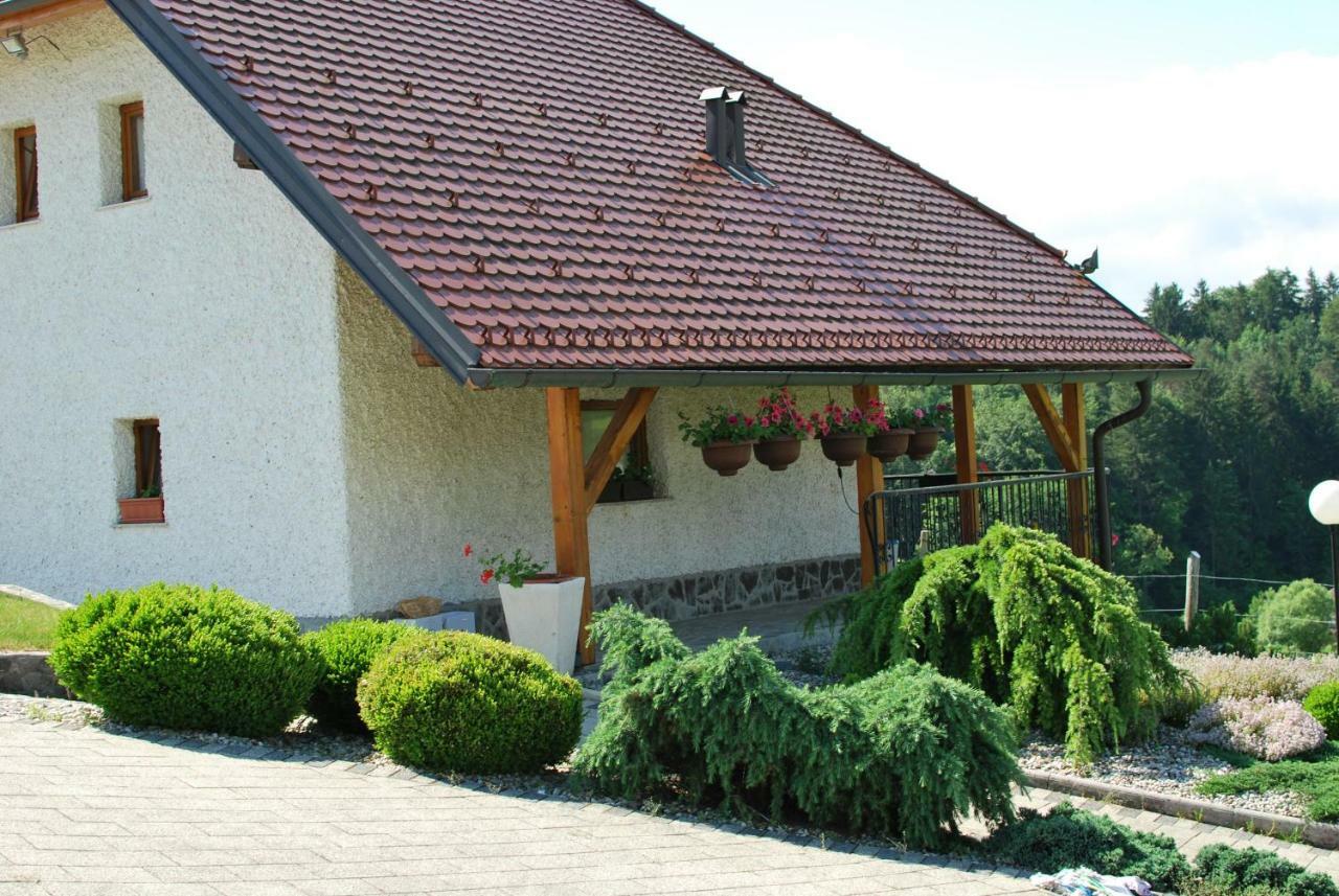 Holiday Home Dobrotin Vojnik Kültér fotó