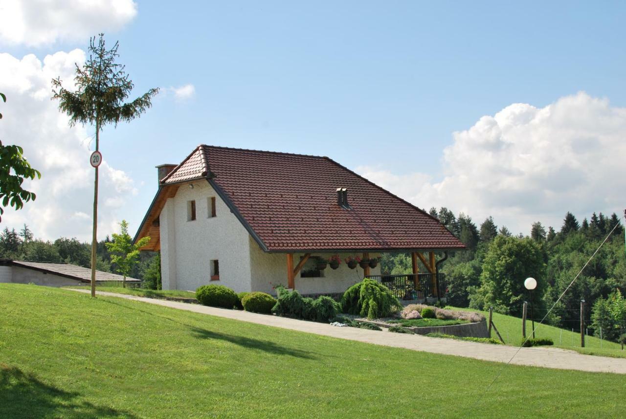 Holiday Home Dobrotin Vojnik Kültér fotó