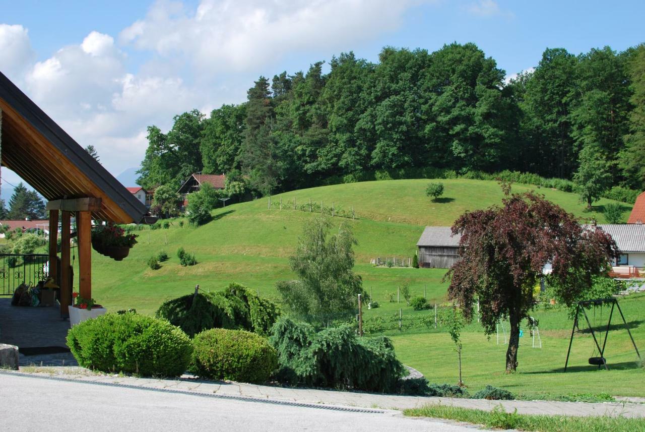 Holiday Home Dobrotin Vojnik Kültér fotó