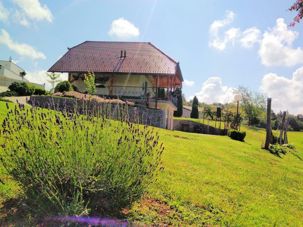 Holiday Home Dobrotin Vojnik Kültér fotó